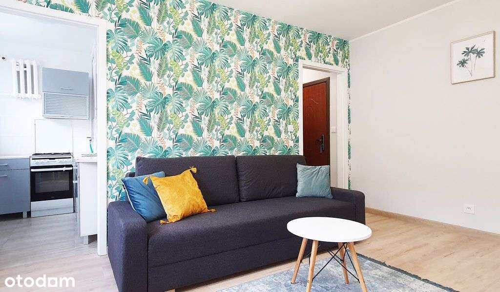 Kawalerka blisko Olivia Centre bez zezwolenia Msw-2