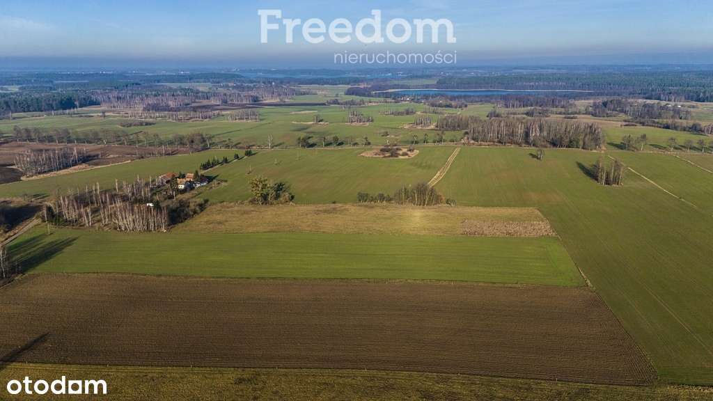 Harsz Działka budowlana Mazury - Pełny obrazek: 5/15