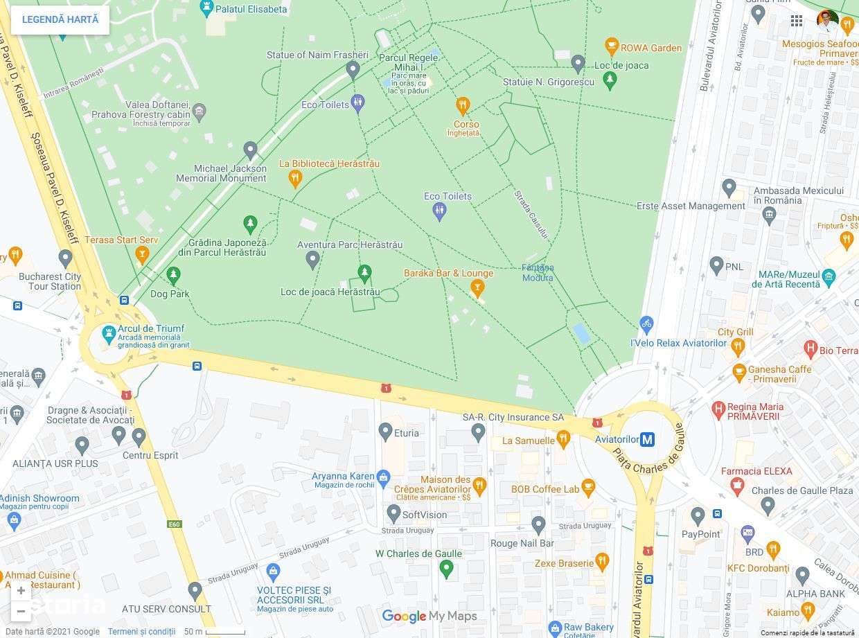 Exclusivitate, Teren/Casa Aviatorilor - Prezan, 300 mp - Imagine principală: 4/8