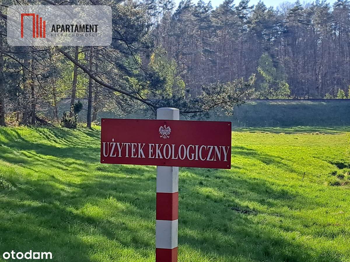 Działka Nad Jeziorem, Z Własnym Strumykiem - Pełny obrazek: 5/15