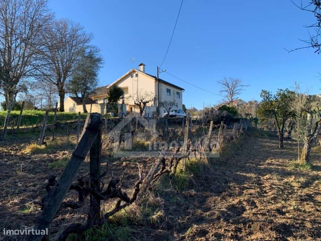 Moradia T4 pronta a habitar em Figueiró dos Vinhos-29