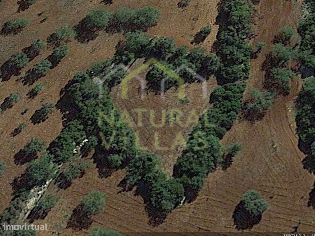 Terreno Rústico Vista Mar em Bordeira, Santa Bárbara de Nexe - Grande imagem: 2/5