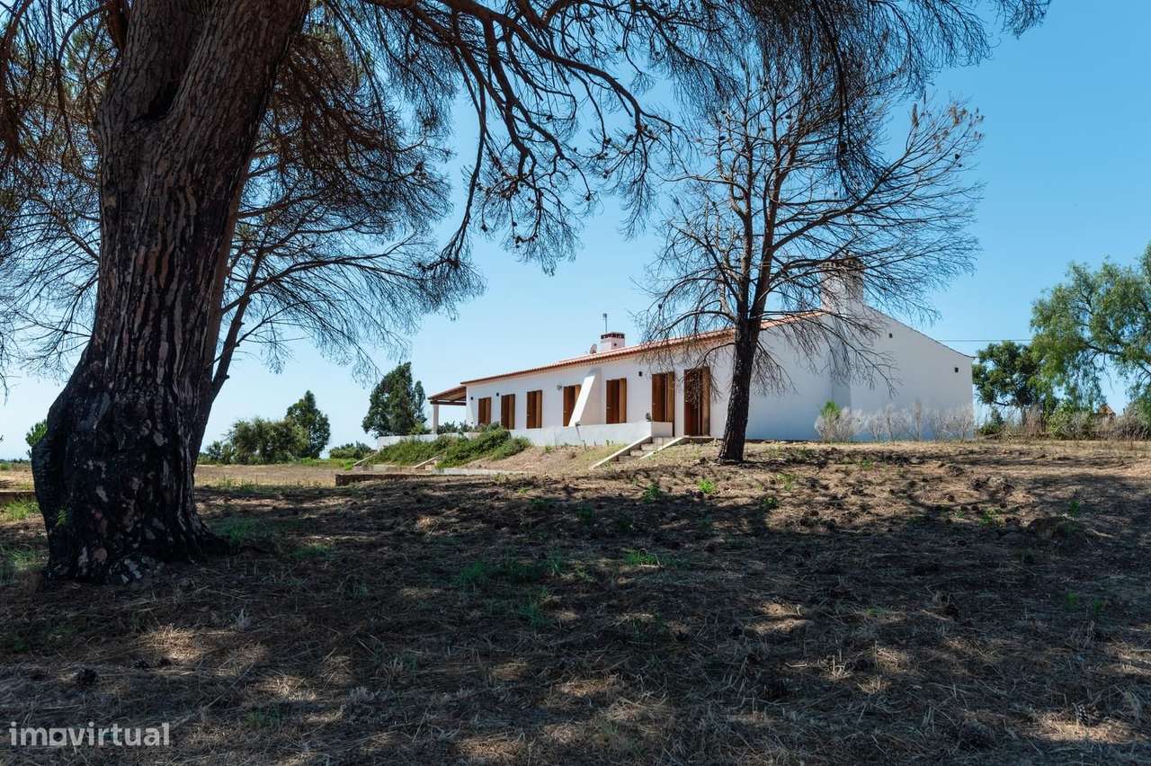 Quinta 3.8 ha, São Teotónio, Odemira - Grande imagem: 4/52