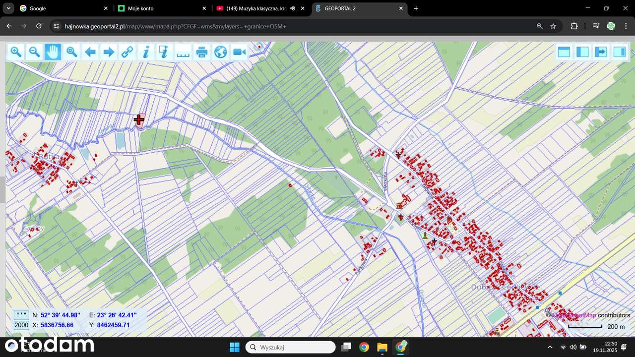 Rziałka Rolna na podatki 3626 m2, Tofiłowce  2,5 zł/m2 - Pełny obrazek: 4/9