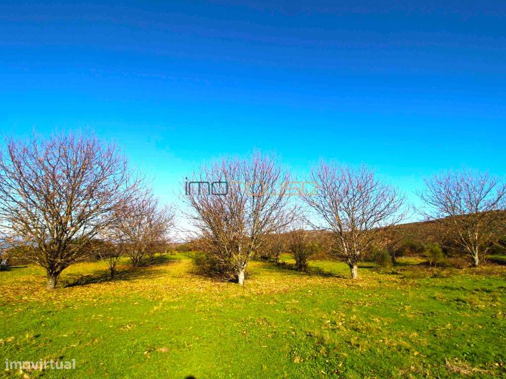 Terreno de 84 hectares - Grande imagem: 5/47