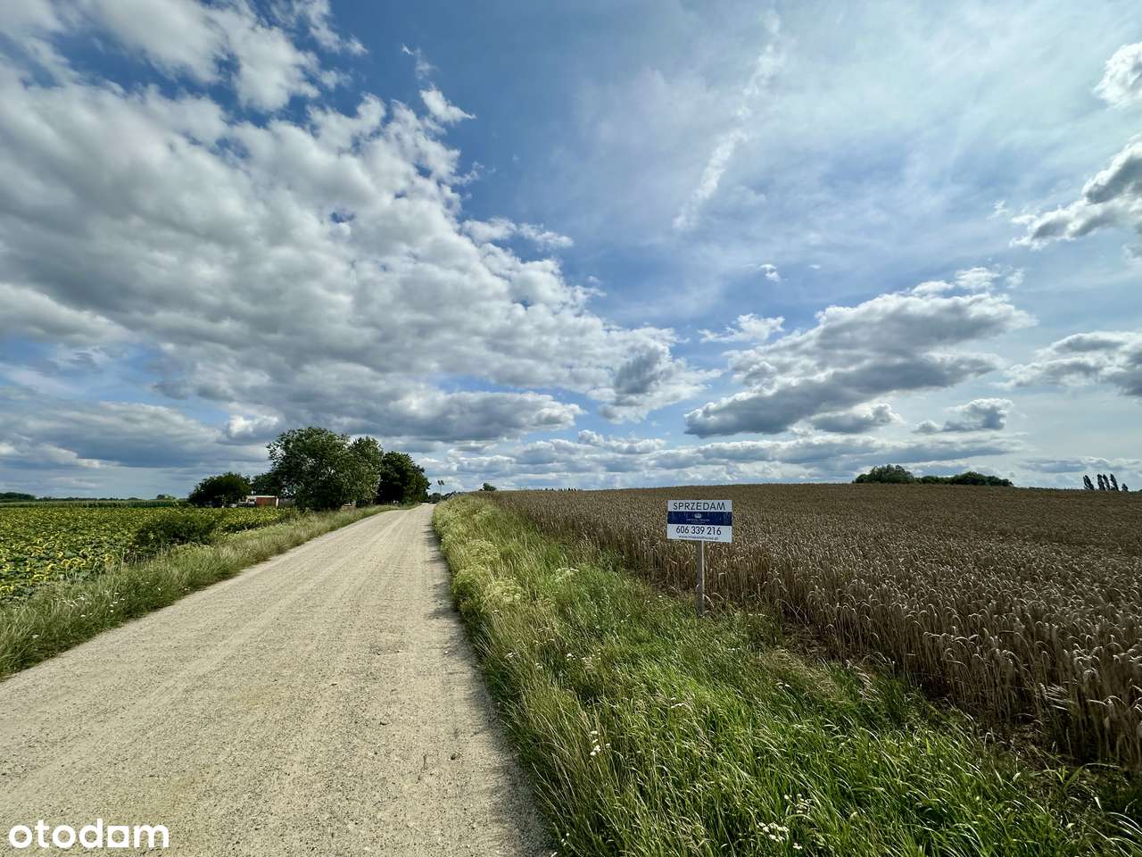Gaj Wielki - Działka z warunkami zabudowy - Pełny obrazek: 4/9