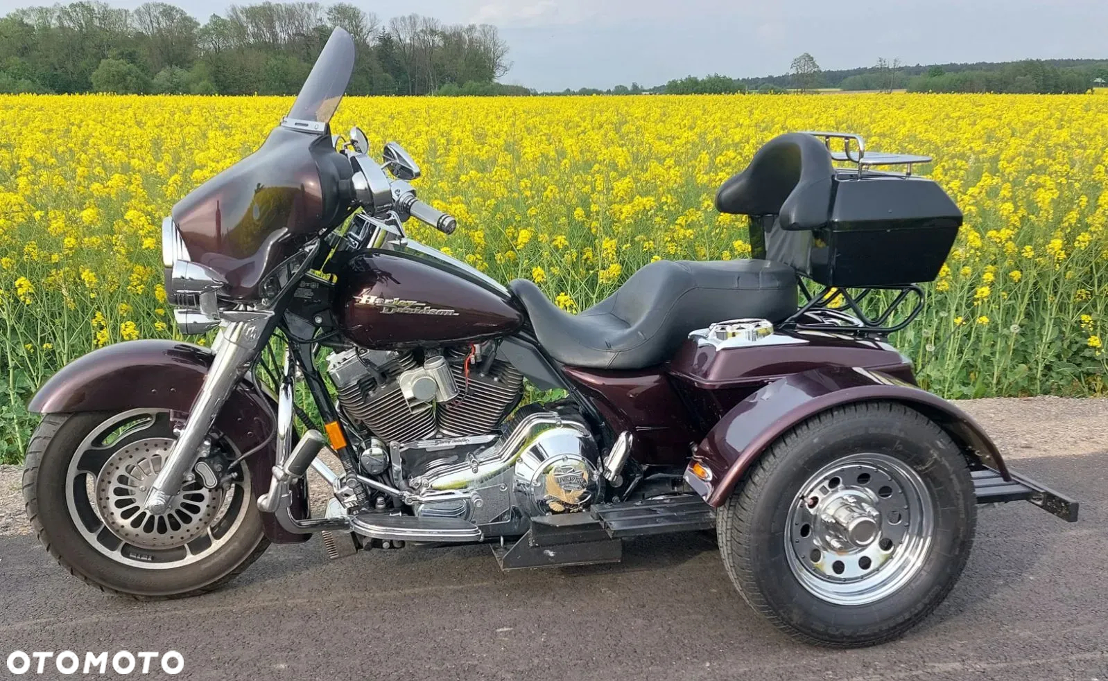 Harley-Davidson Touring Electra Glide - 8