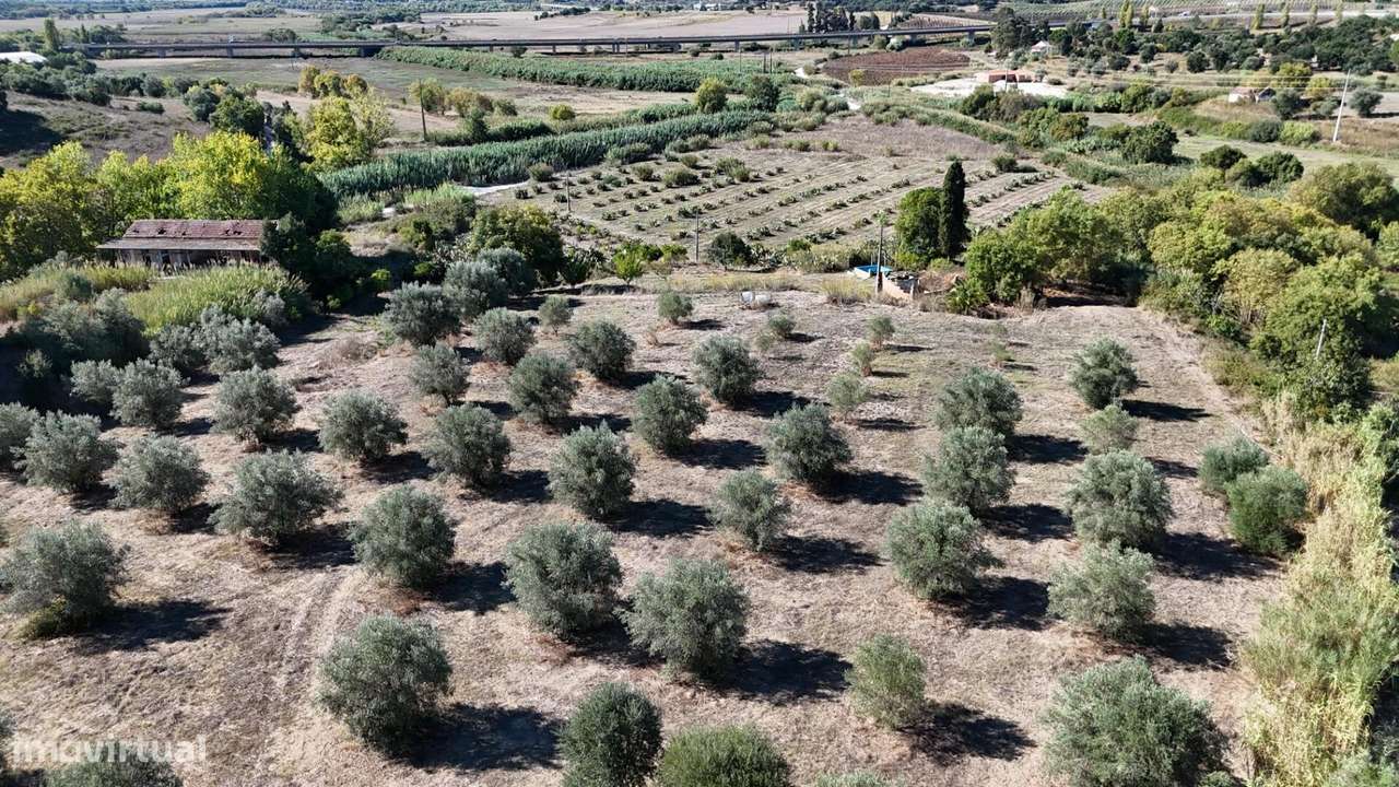 Terreno urbano com Potencial de Desenvolvimento em Santarém - Grande imagem: 5/20