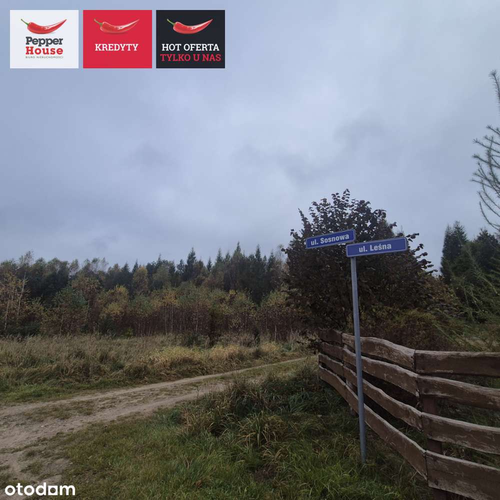 Działka na skraju lasu, 3 min. do jeziora - Pełny obrazek: 4/4