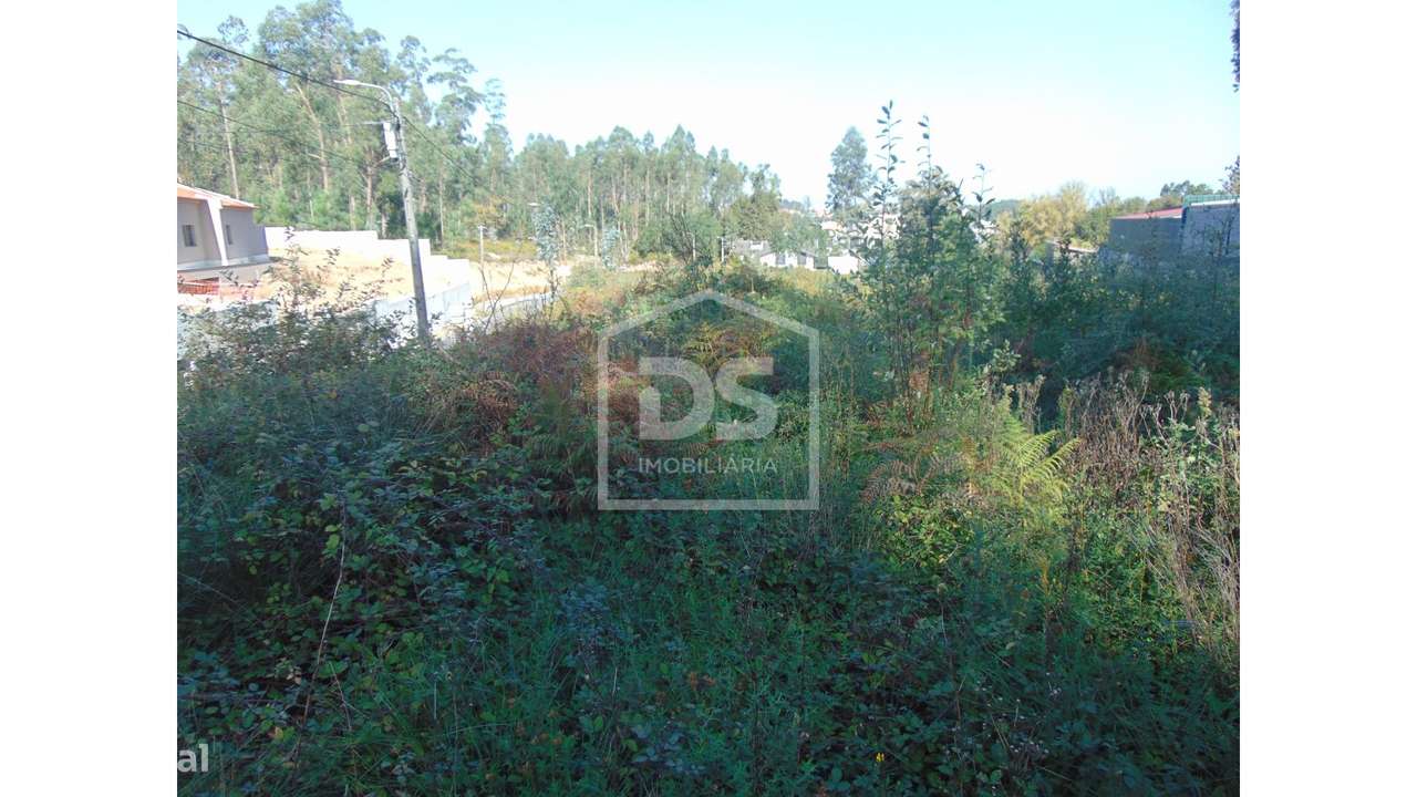 Terreno  Venda em Argoncilhe,Santa Maria da Feira - Grande imagem: 4/19