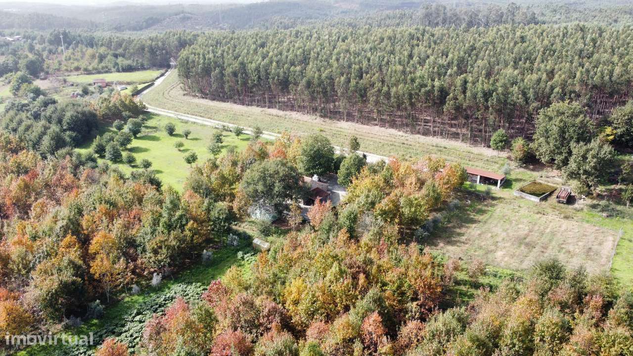 Moradia, 140 m², Molelos-45