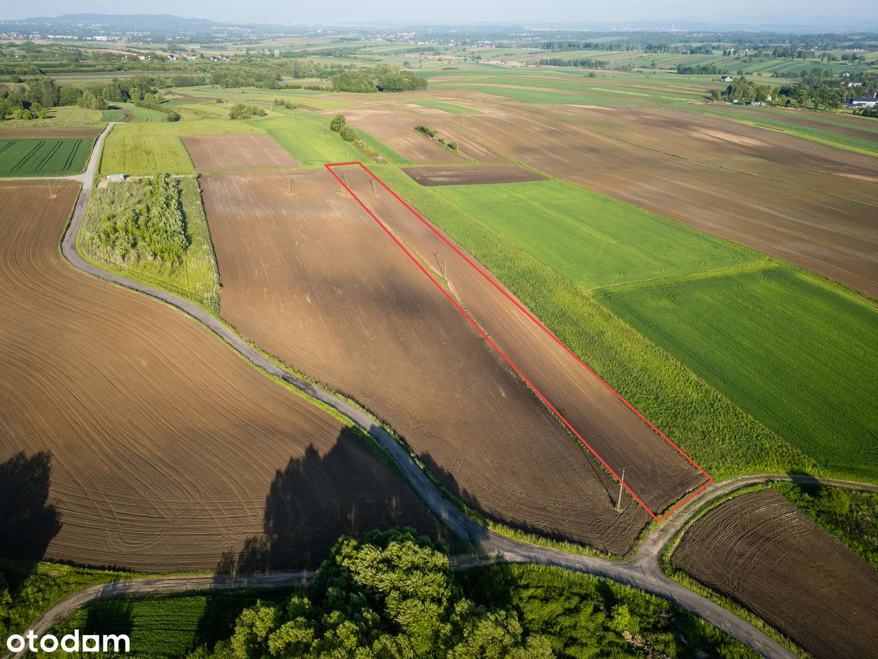 Rybna | Działka rolna | 54 ar | 0% PROWIZJI-8