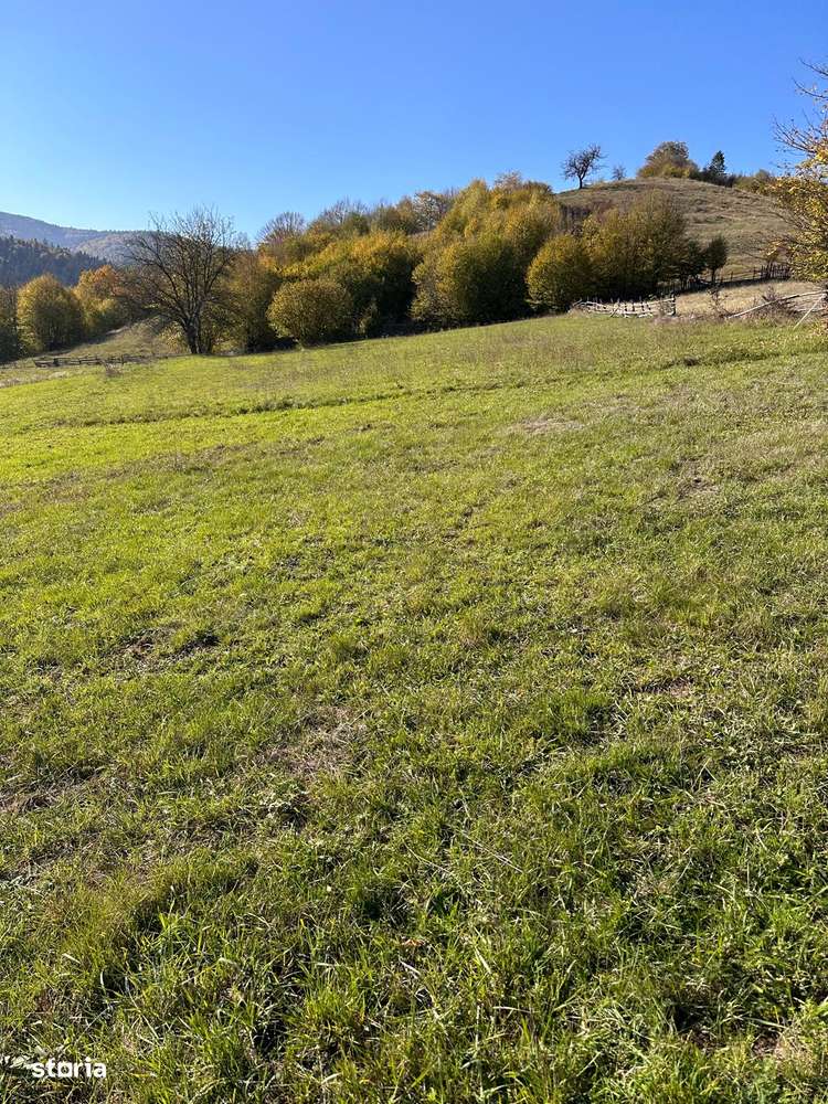 Parcelă de vânzare în inima Bucovinei – Mănăstirea Humorului - Imagine principală: 3/3