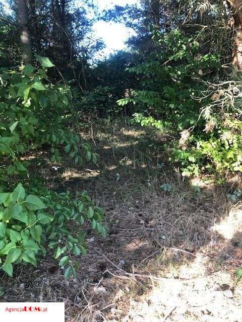 Władysławów(k.Siestrzeni),prąd,gaz,woda,budowlana,-6