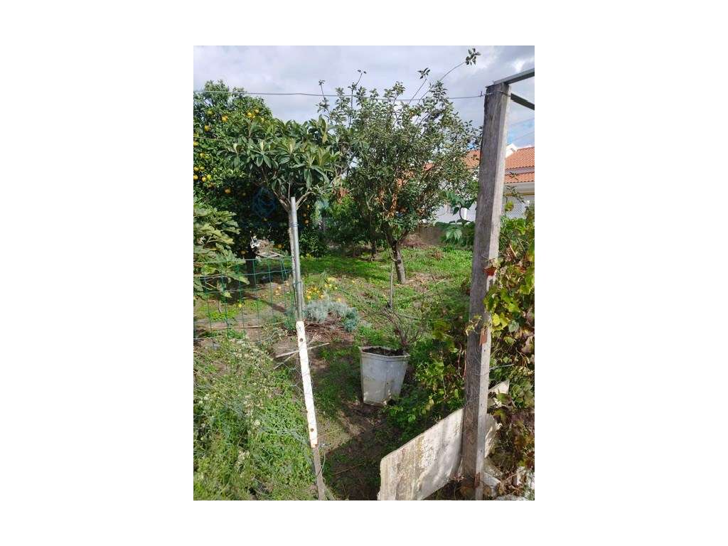 Terreno 595 m2 Penteado Moita-5