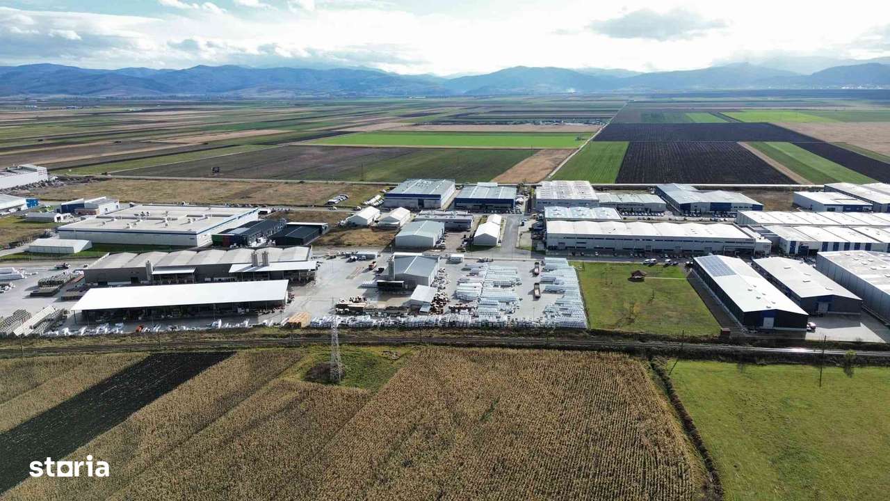 Teren 5 hectare de vanzare prejmer Brasov-4