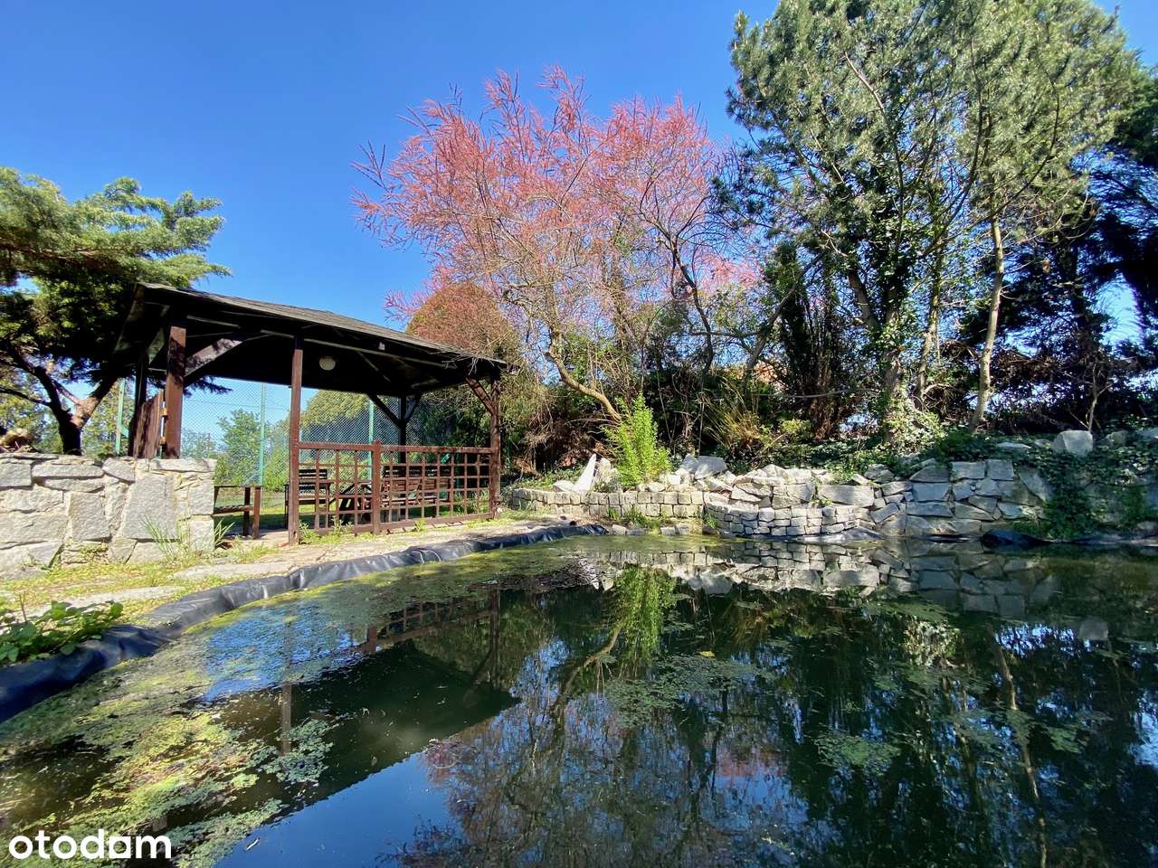 Rezydencja_basen_korty_ogród-14