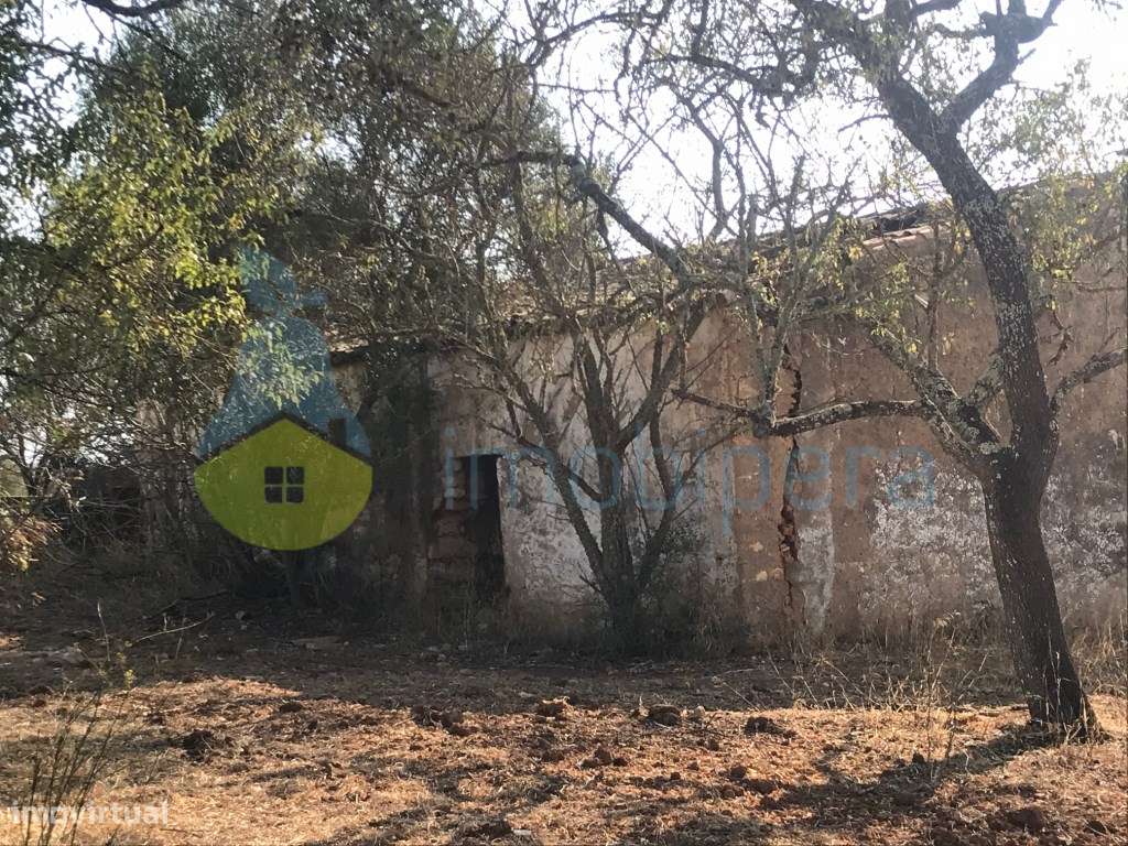 MORADIA/CASA ANTIGA EM RUÍNA COM LOTE DE TERRENO - Grande imagem: 4/28