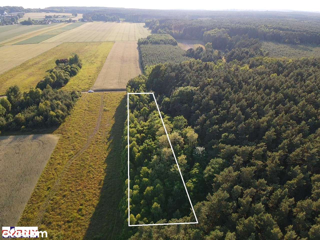 Działka rolna , porośnięta drzewami, Bąkowa Góra-4