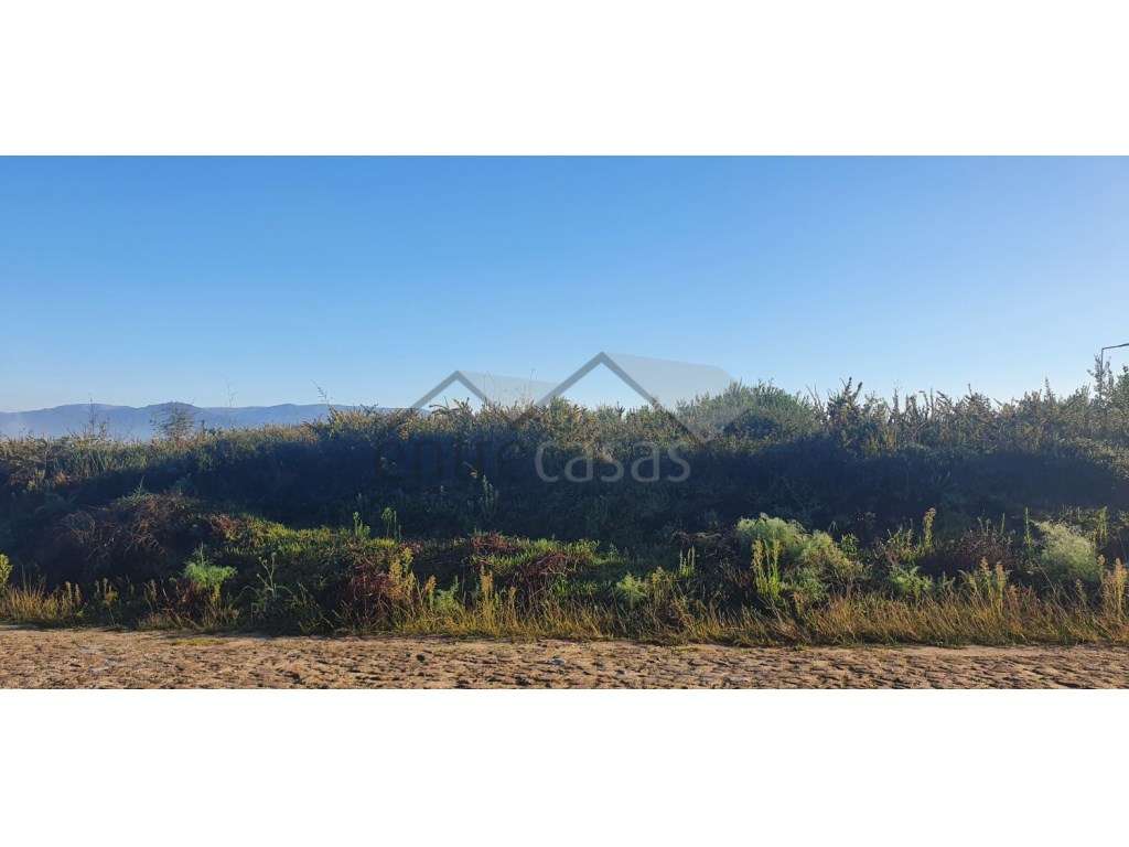 lote para construção de armazém - Grande imagem: 2/4