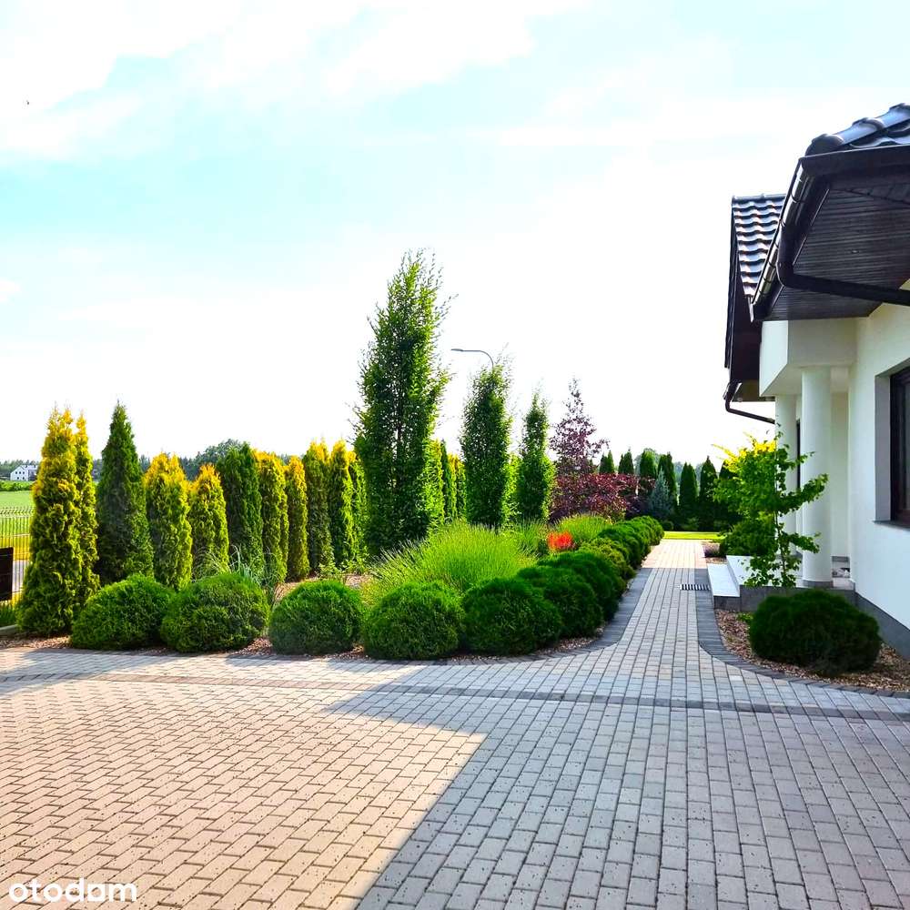 luksusowy dom Lednogóra basen sauna klimatyzacja - Pełny obrazek: 4/17