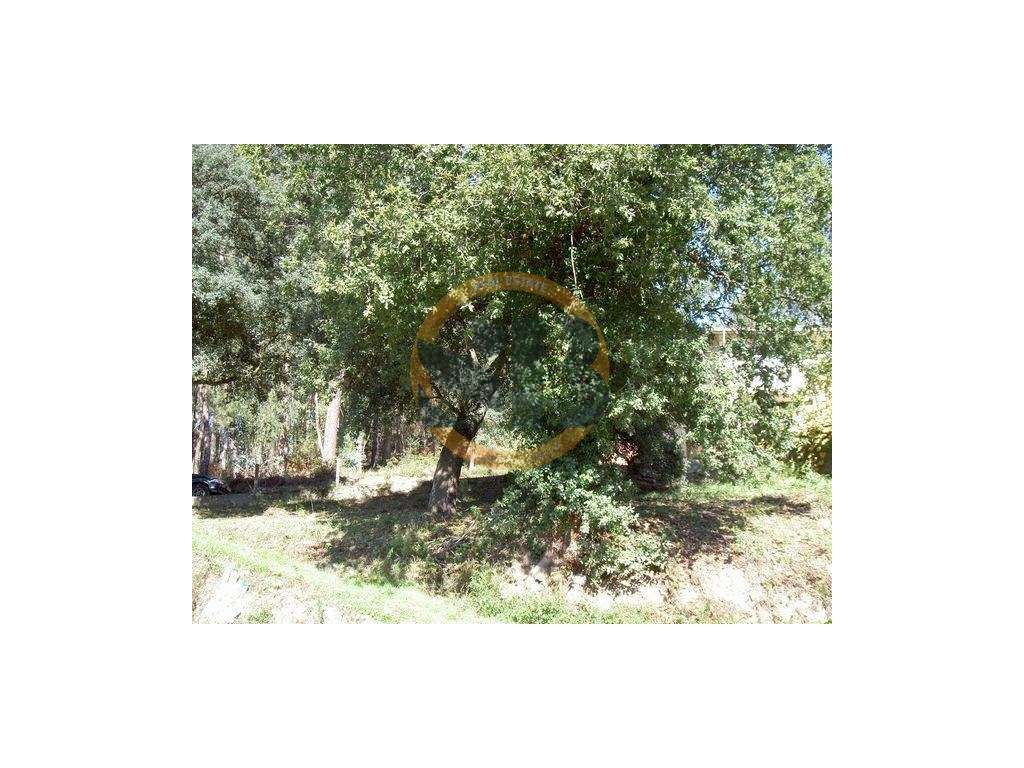 Terreno Mosteirô - Grande imagem: 2/4