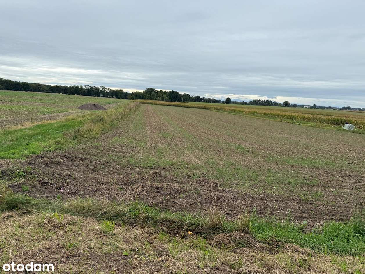 Działka w Wielkich Łąkach-4