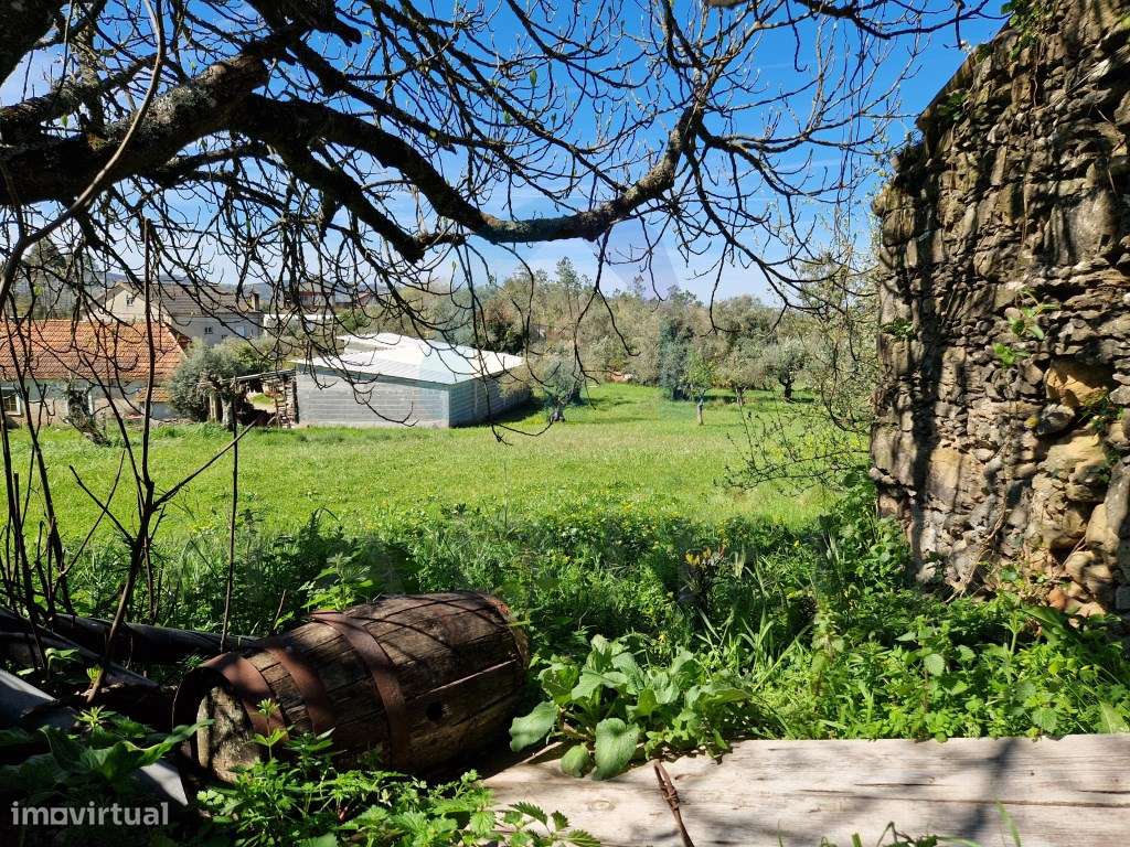 Ruína em Pedra para Recuperar - Pombal-19