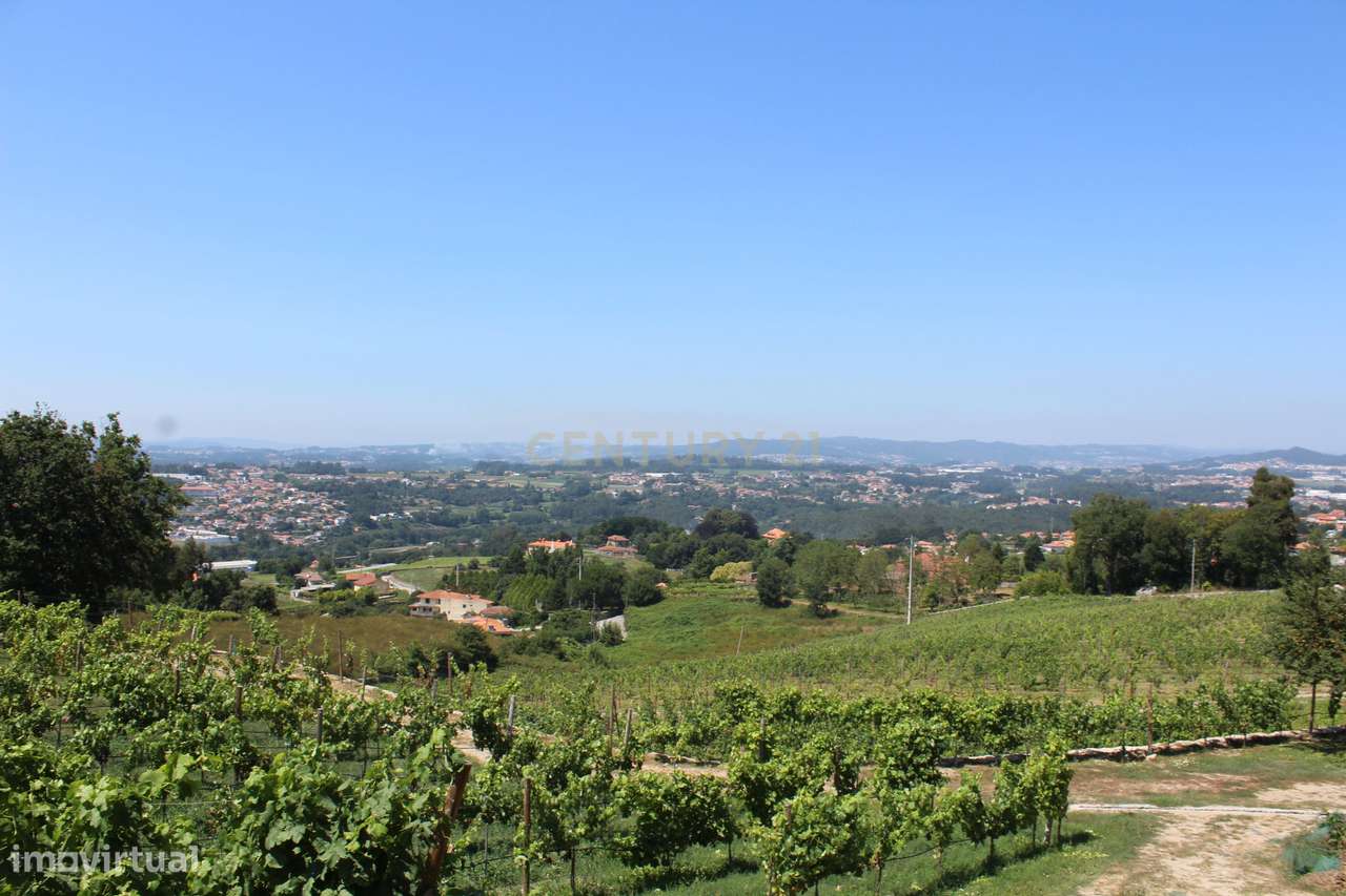 Quinta da Cerqueda, Santo Tirso - Grande imagem: 5/54