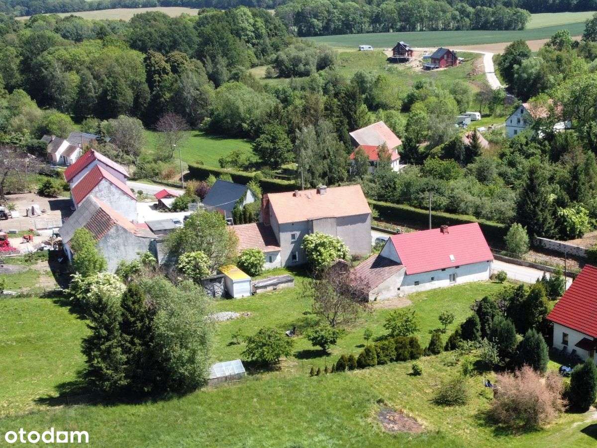 Dom do generalnego remontu z dużą działką-7