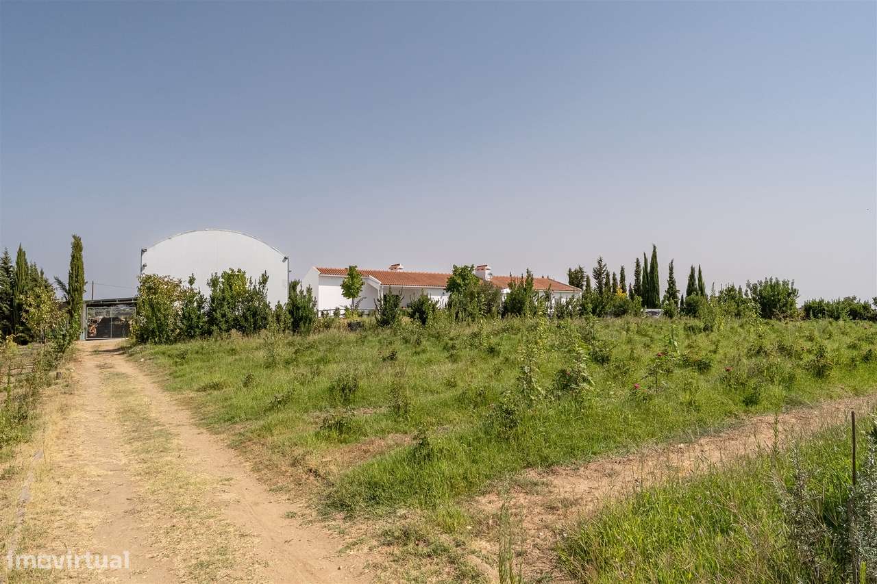 Quinta Biológica - Monte de Palma em Sao Manços com negócio.-37