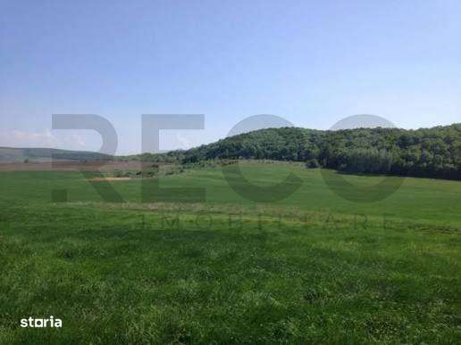 ReCO Teren extravilan in Dragesti spre Stracos 7200mp - Imagine principală: 1/2