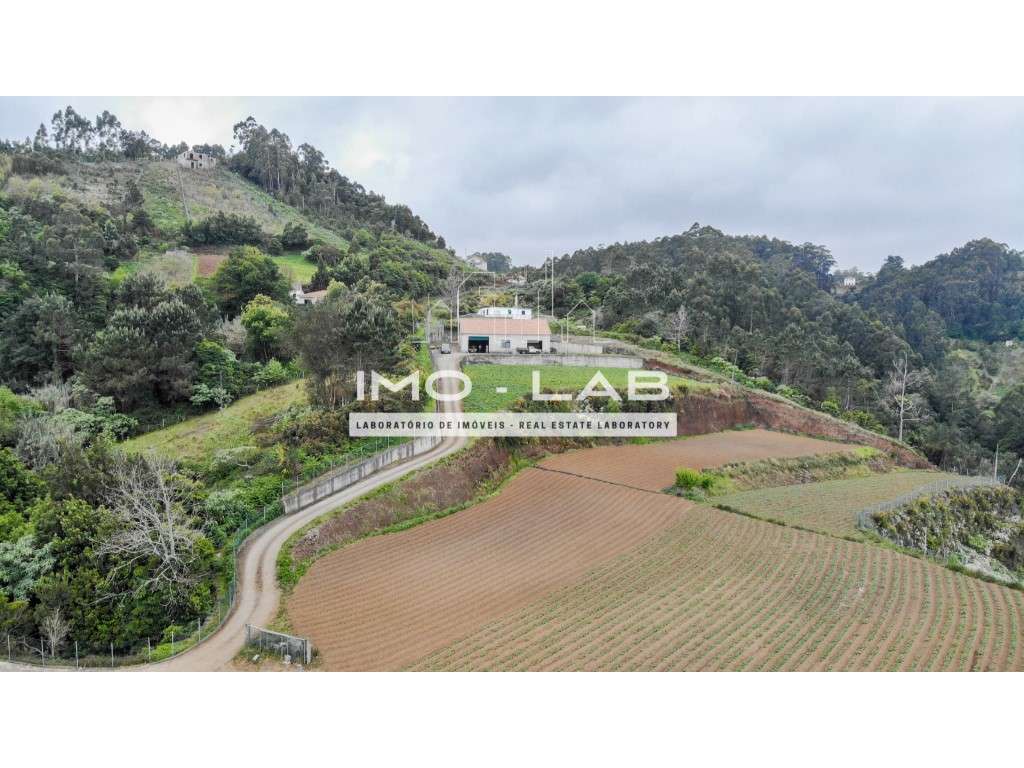 Armazém + 25.566m2 de Terreno Cultivado - São Jorge - Santana-3