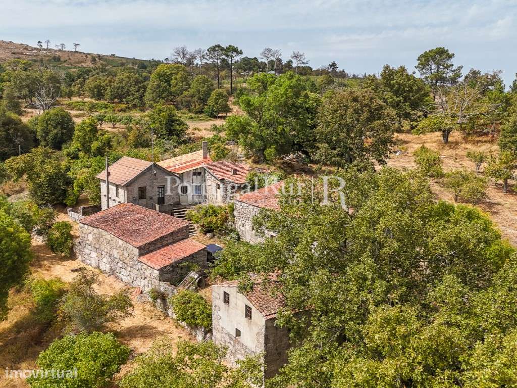 Quinta de 24ha com potencial para Turismo - Grande imagem: 2/57