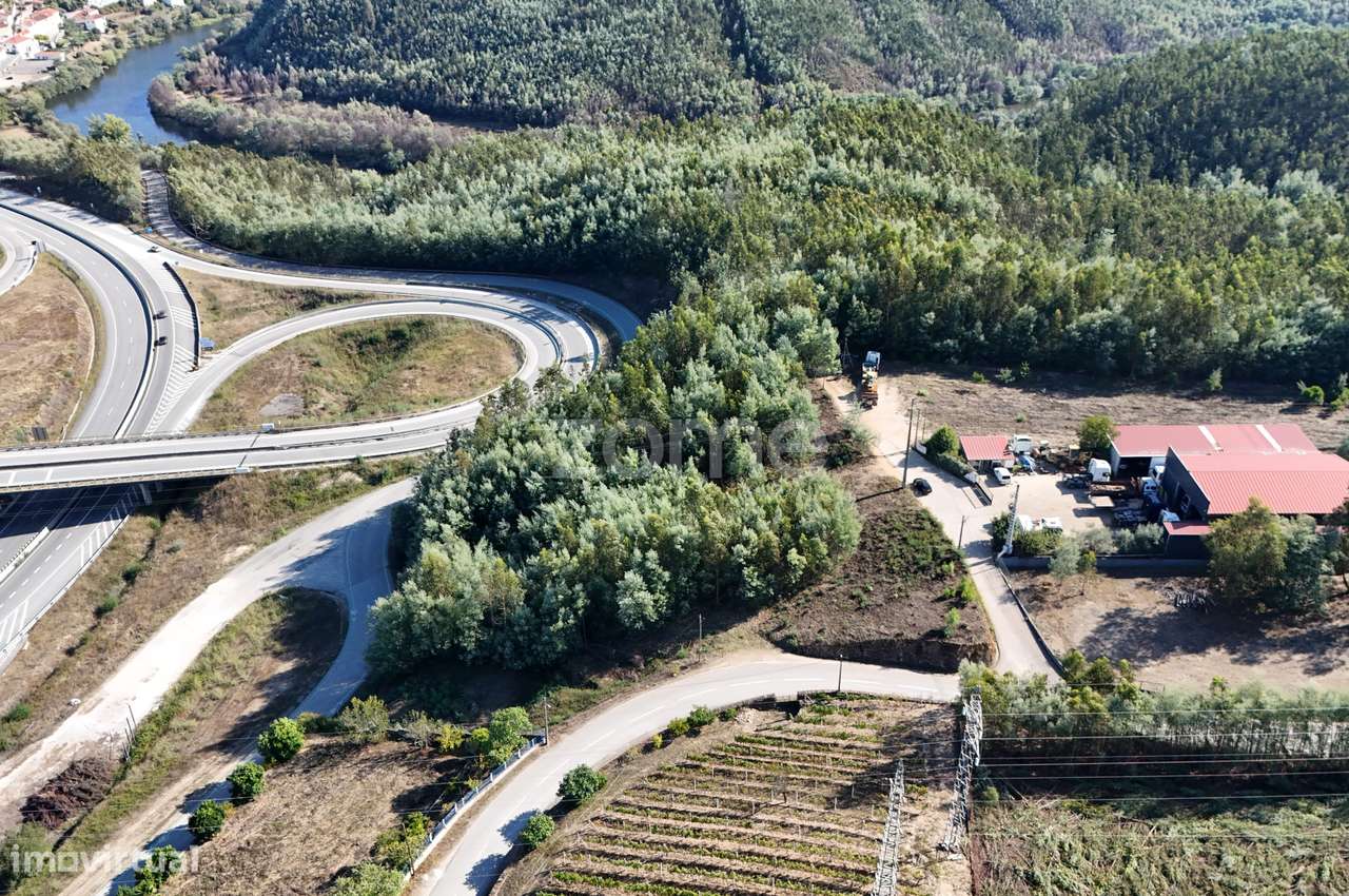 Terreno | Penacova | Porto da Raiva | 5984 m2 - Grande imagem: 3/16