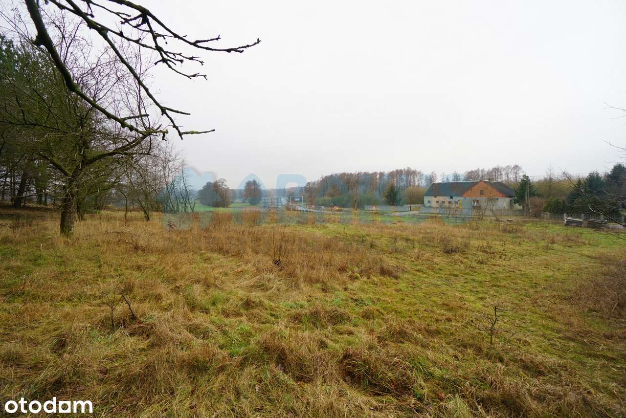 Na sprzedaż działka budowlana Kępina - 5 km od Konina-7