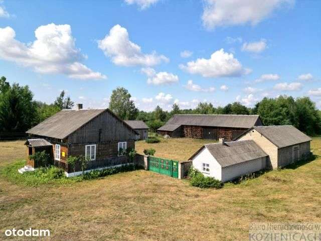 Gospodarstwo z dużym potencjałem w Dobieszynie - Pełny obrazek: 4/15