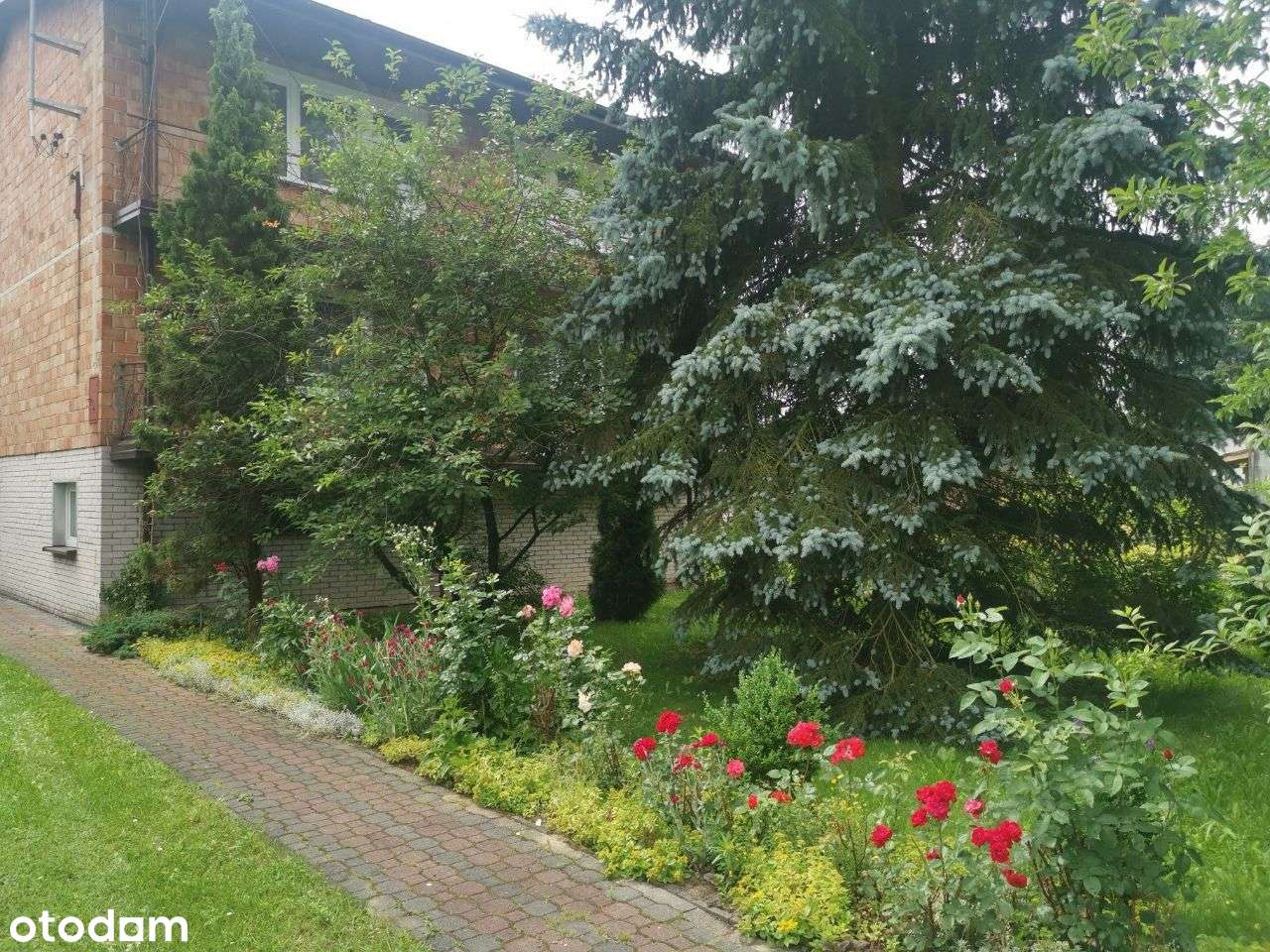 Okazja dom wolnostojący, budynki  super lokalizacja-Kotuń - Pełny obrazek: 4/5