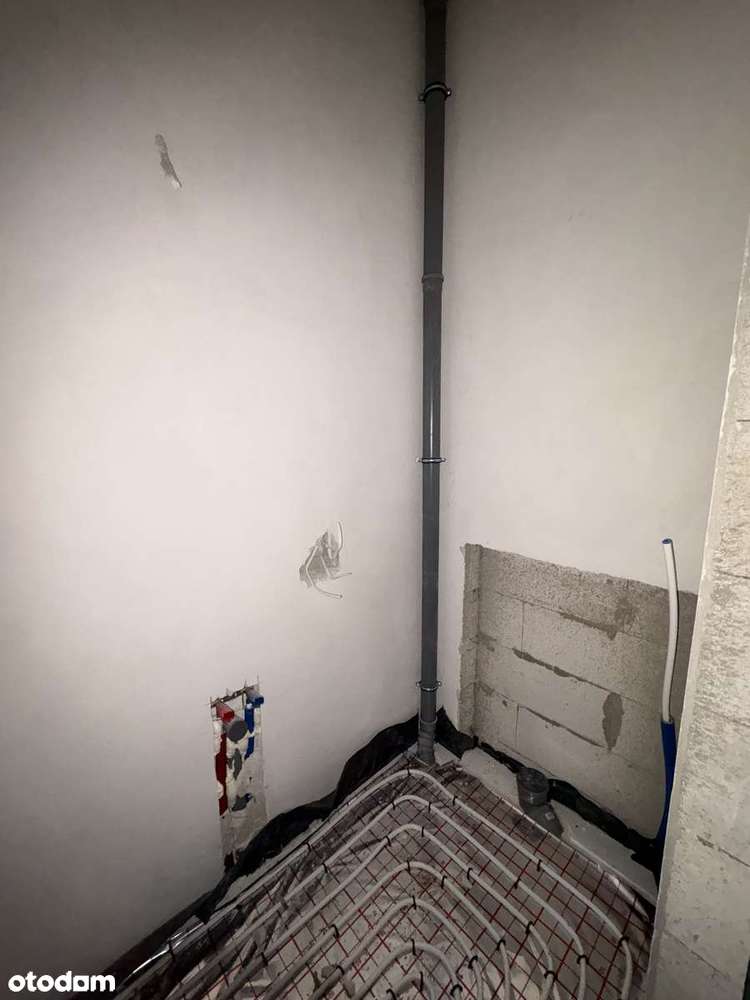 Sprzedam dom wolnostojący w stanie deweloperskim - Pełny obrazek: 5/20