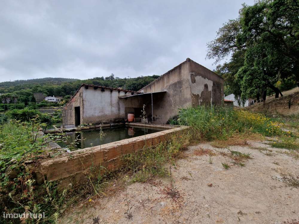 Terreno com Casa para Recuperar - Malhada Quente, Monchique-13