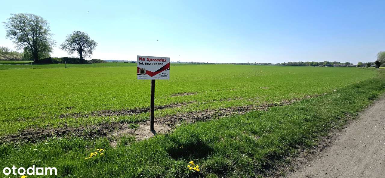 Działka 2244m2 , Kołata , Pobiedziska - Pełny obrazek: 5/13