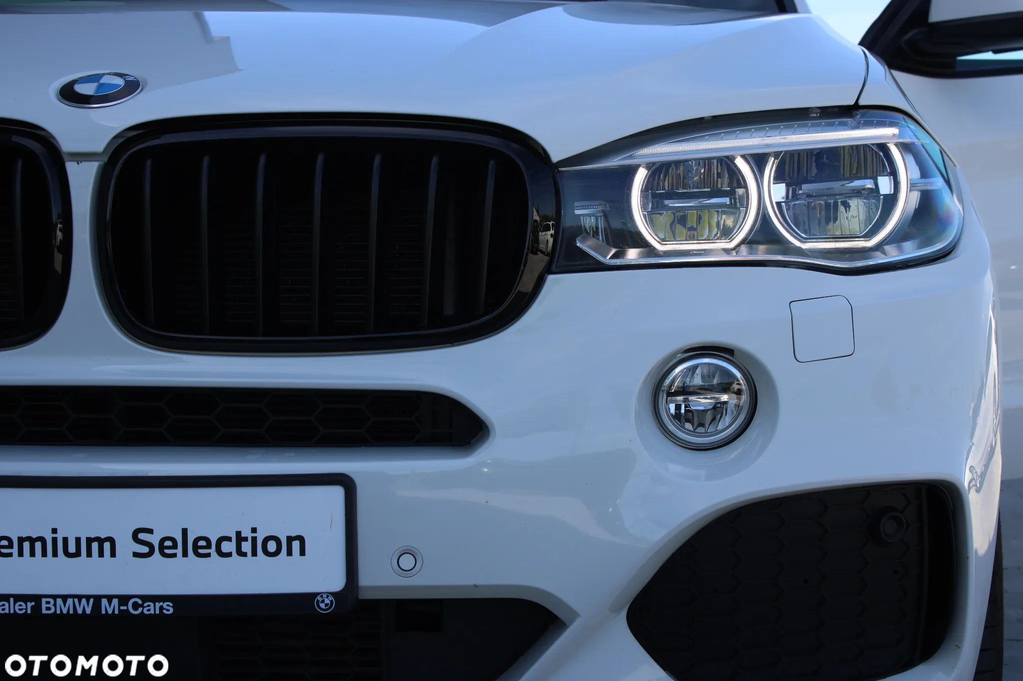 BMW X5 xDrive25d sport - 10