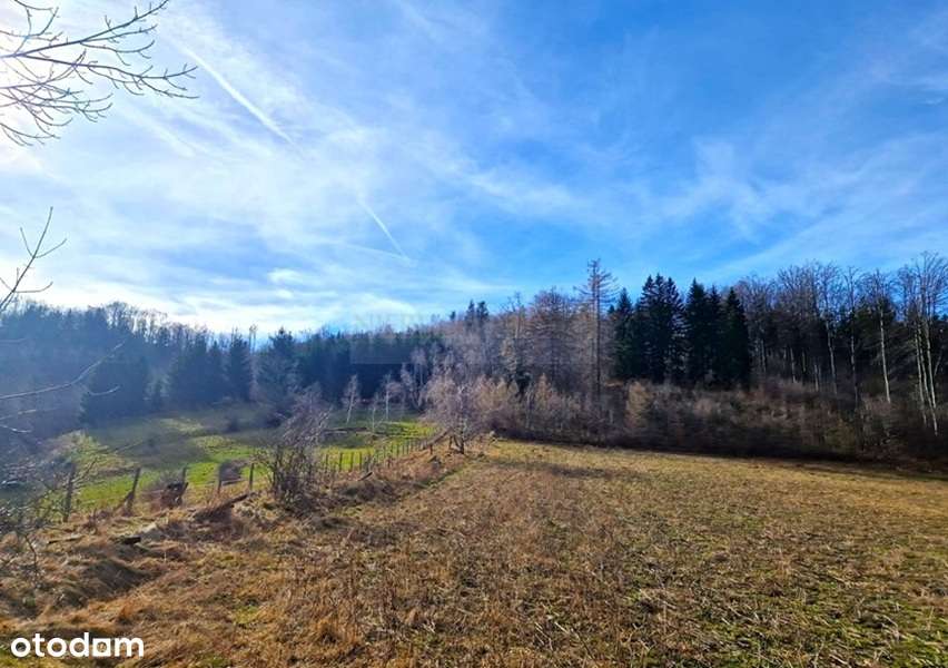 Duża działka budowlano-inwestycyjna/Góry Sowie!-0
