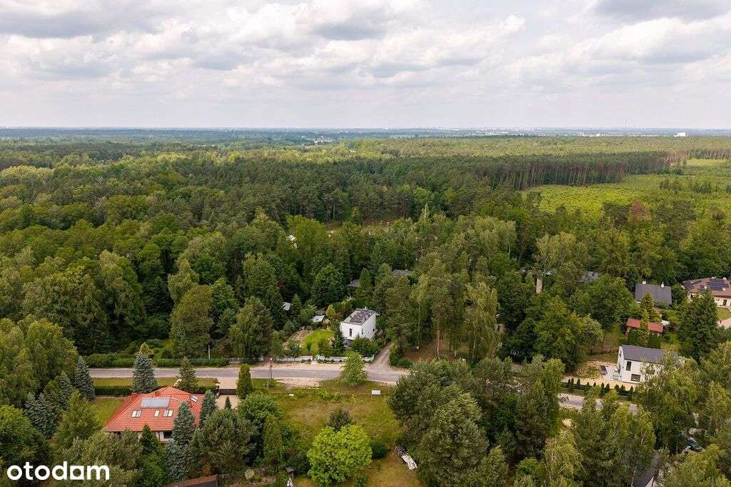 Działka Budowlana - Rydzynki, 15 km od Łodzi - Pełny obrazek: 5/14