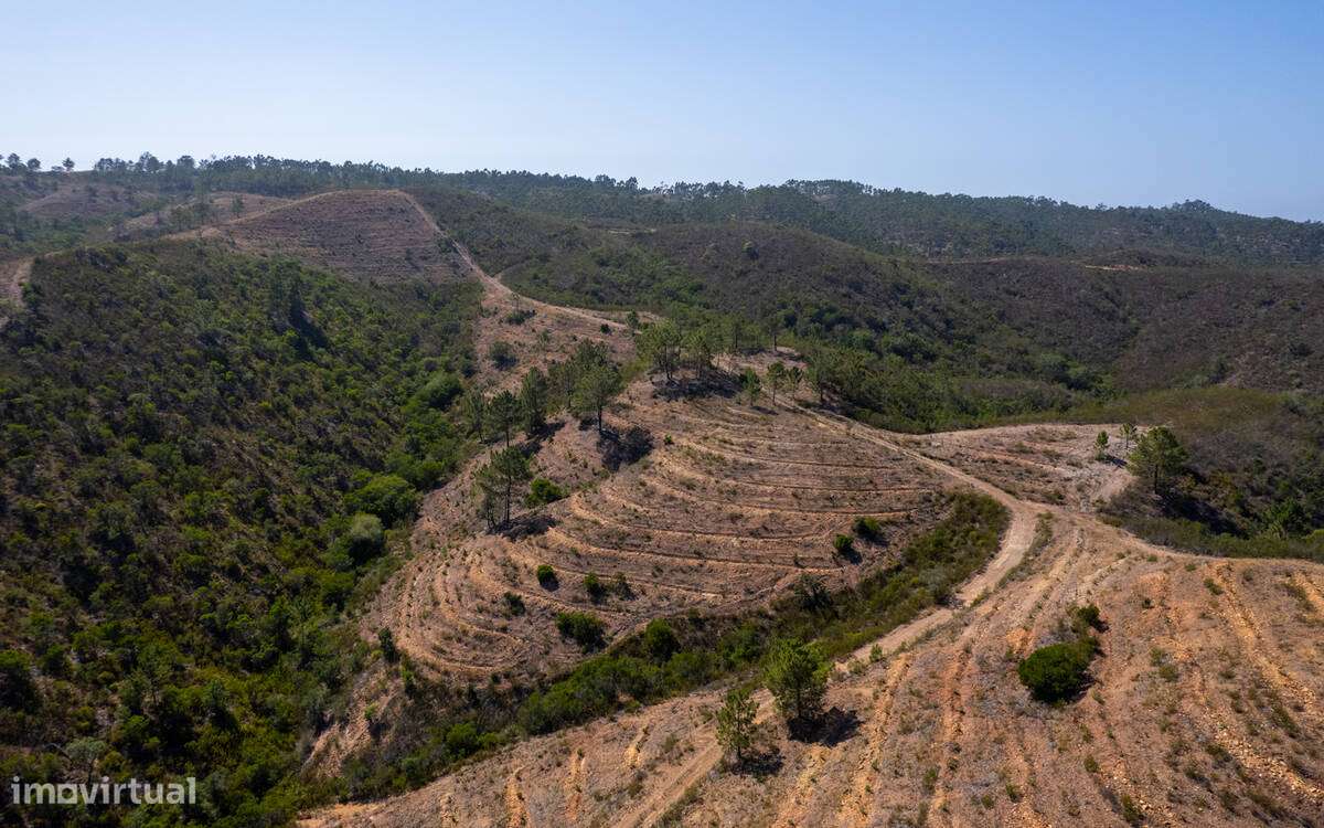 Herdade Moinho Corisco-14