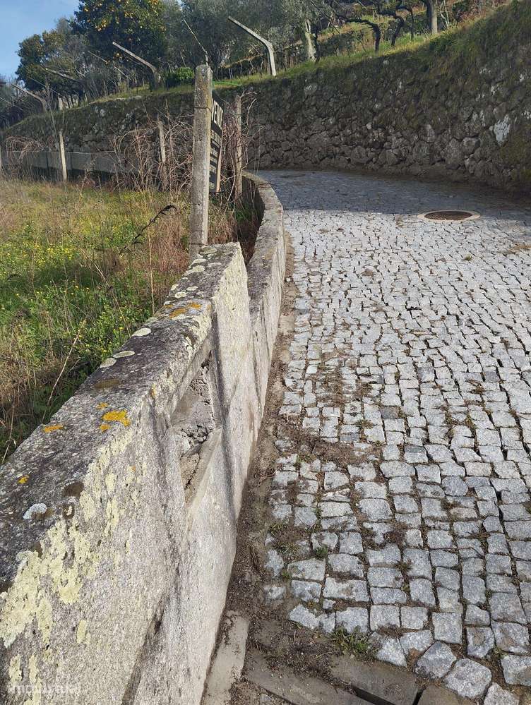 Terreno com projeto para dispensa agrícola em Santa Cruz do Douro, Bai - Grande imagem: 4/16