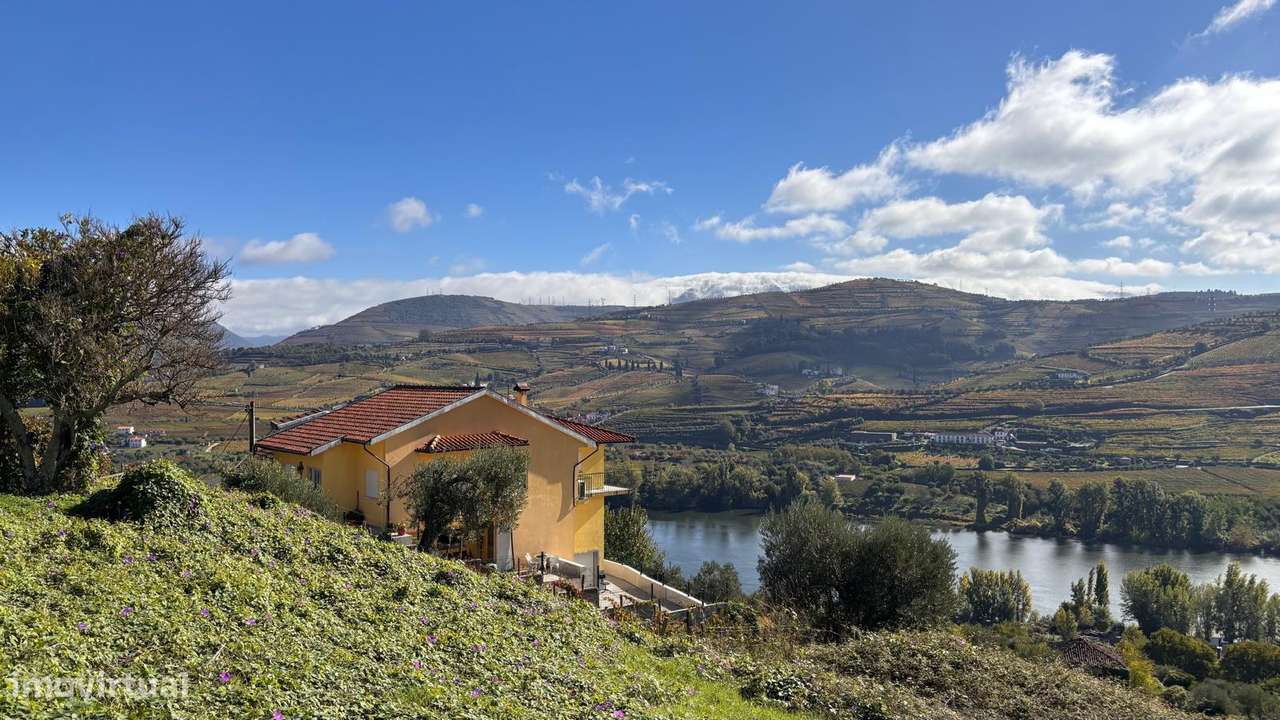 Terreno no Douro/Regua com Projecto aprovado para Moradia-5