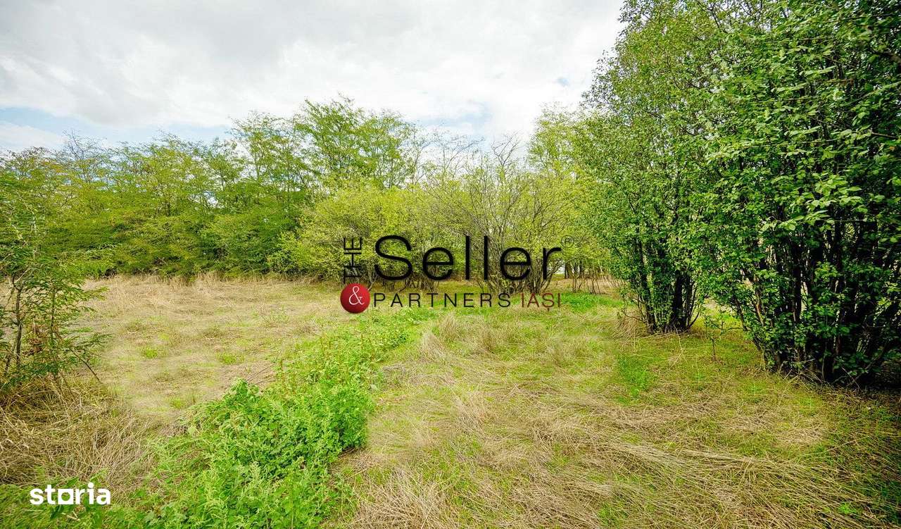 Teren 2.557 mp plan, langa pădurea Galata-4