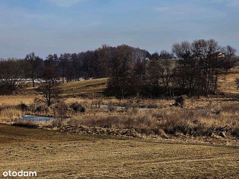 Działka rolna z ogromnym potencjałem - Stara Biała k. Płocka-0