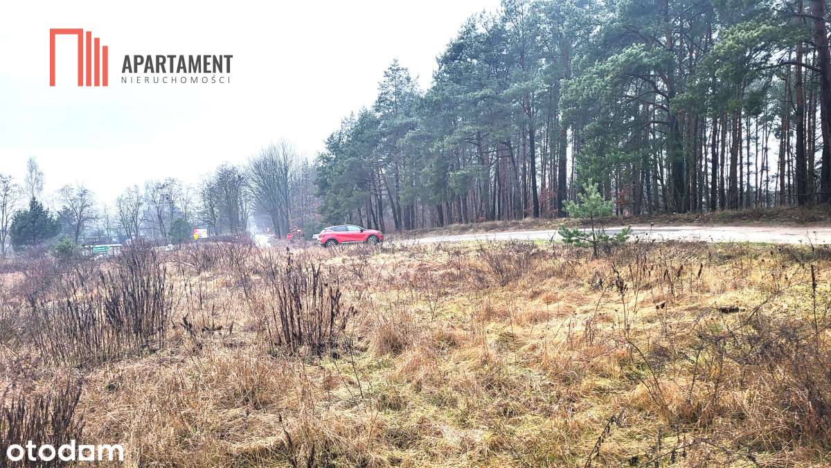 Duża narożna działka z prądem, las, jezioro. - Pełny obrazek: 4/5